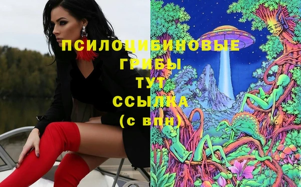 гидра Алзамай